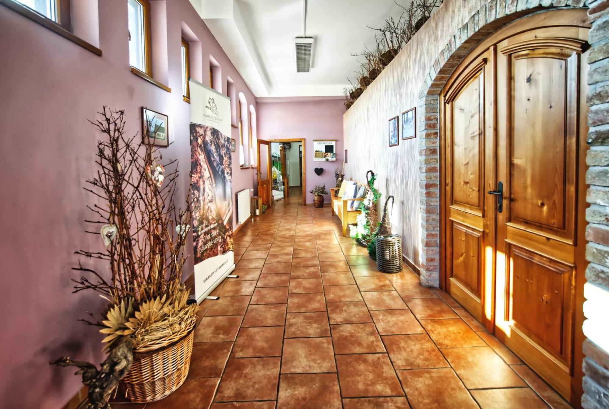 Penzion Vinarstvi Cervinka Horni Vestonice Exterior foto