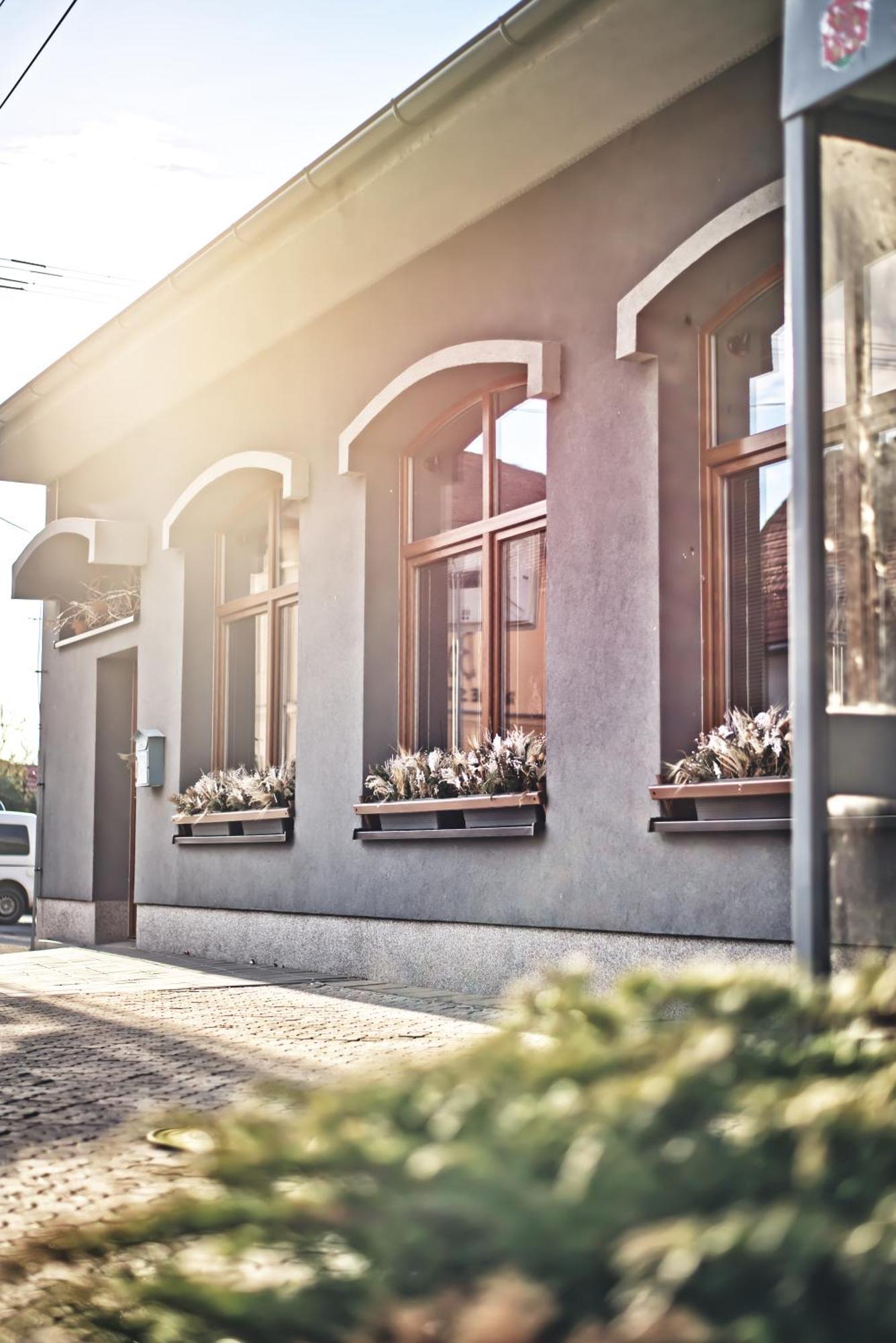 Penzion Vinarstvi Cervinka Horni Vestonice Exterior foto